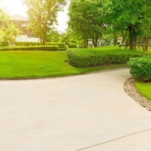 A well-maintained garden with a concrete pathway winding through lush green lawns and trimmed bushes. Tall trees provide shade, and sunlight filters through the leaves, creating a serene and peaceful ambiance.