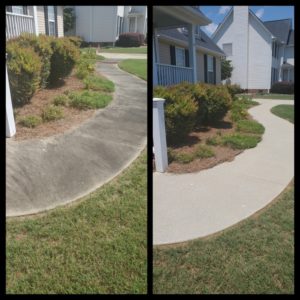 A side-by-side comparison shows a concrete walkway before and after cleaning. The left image displays a weathered, darkened walkway with overgrown grass and bushes. The right image shows the same walkway, now bright and clean with neatly trimmed grass and bushes.